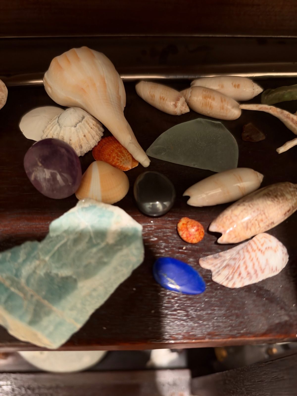 Seashells including a whelk and olive shells laid out with polished purple, blue and green stones and a piece of frosted sea glass